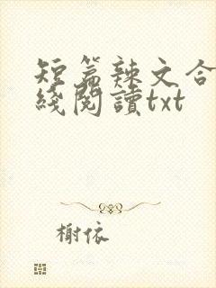 短篇辣文合集在线阅读txt