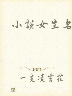 小说女生名字封面