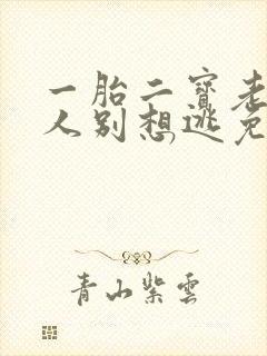 一胎二宝老婆大人别想逃免费阅读全文