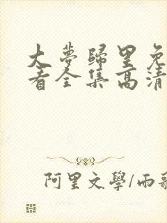 大梦归里免费观看全集高清封面