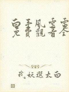 白手风云电视剧免费观看全集高清封面