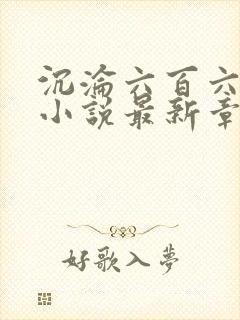 沉沦六百六十六小说最新章节更新