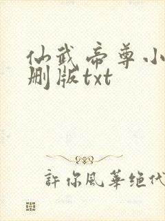 仙武帝尊小说未删版txt封面