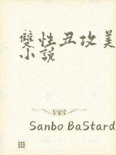 双性丑攻美人受小说