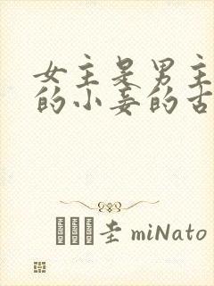 女主是男主父亲的小妾的古言