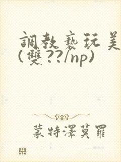 调教亵玩美人受(双??/np)