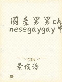 国产男男chinesegaygay中国帅哥网站