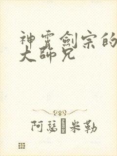 神霄剑宗的废材大师兄