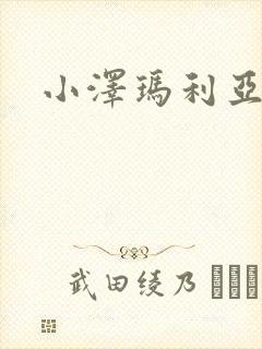 小泽玛利亚作品