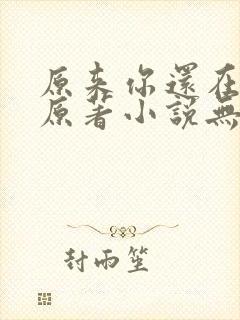 原来你还在这里原著小说无删减