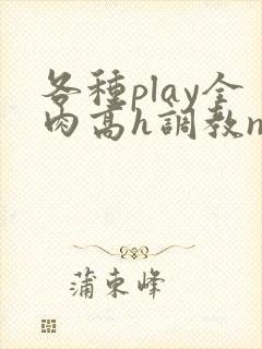 各种play全肉高h调教np封面