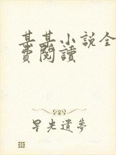 某某小说全文免费阅读