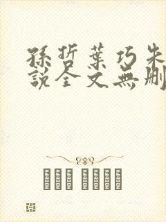 孙哲叶巧朱颜小说全文无删减免费阅读封面