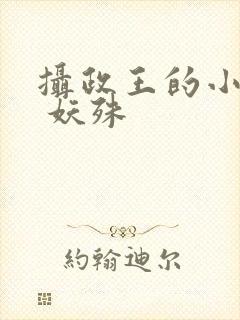 摄政王的小闲妻 妖殊封面