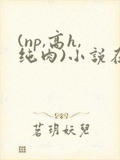 (np,高h,纯肉)小说在线阅读