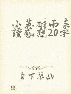 小英雄雨来的阅读感想20字