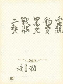 二战黑豹电影完整版免费观看高清封面