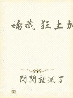 娇藏 狂上加狂封面