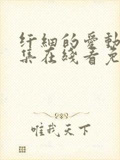 纤细的爱动漫全集在线看免费观看