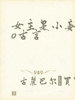女主是小妾的po古言封面