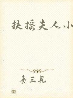 扶摇夫人小说真