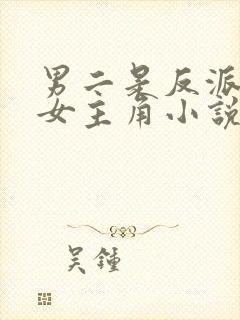 男二是反派喜欢女主角小说封面