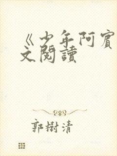 《少年阿宾》全文阅读封面