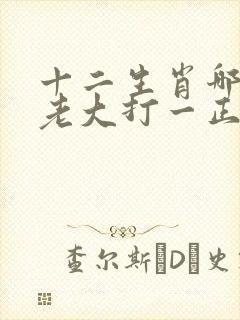 十二生肖哪个是老大打一正确生肖封面