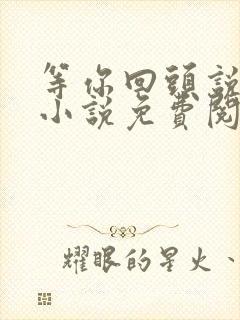 等你回头说爱我小说免费阅读全文