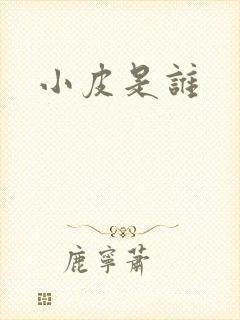 小皮是谁