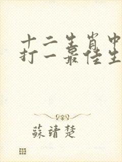 十二生肖中一个打一最佳生肖