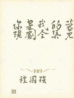 你是我的荣耀电视剧全集免费西瓜