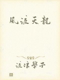 风流天龙封面