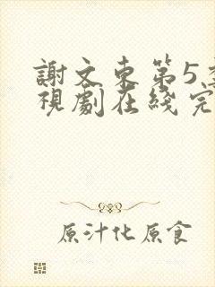 谢文东第5季电视剧在线完整免费