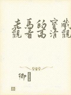 老马的宝藏在线观看高清观看免费