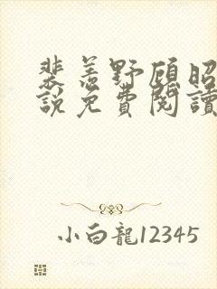 裴羡野顾昭宁小说免费阅读最新章节