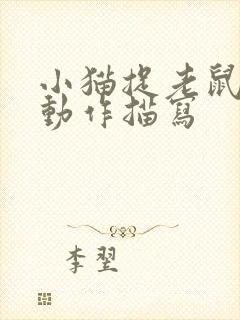 小猫捉老鼠时的动作描写