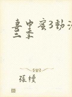 妻中蜜3动漫全三季