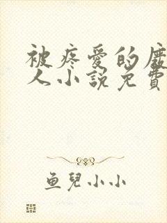 被疼爱的废物美人小说免费阅读