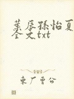 叶辰孙怡夏若雪全文txt封面