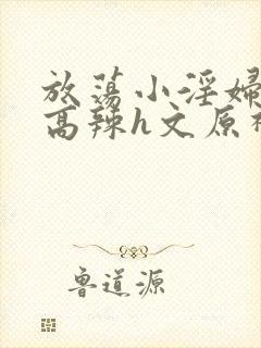 放荡小淫妇h文高辣h文原神