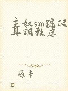 主奴sm跪爬道具调教虐