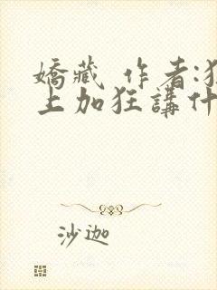 娇藏 作者:狂上加狂讲什么