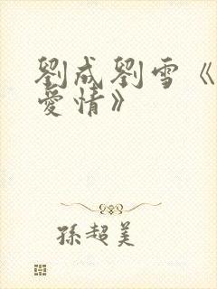 刘成刘雪《当代爱情》