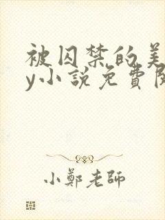 被囚禁的美人by小说免费阅读