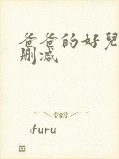 爸爸的好儿子未删减