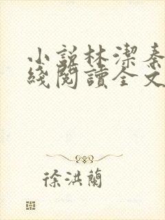 小说林洁秦齐在线阅读全文封面