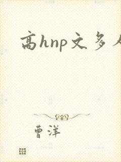 高hnp文多人