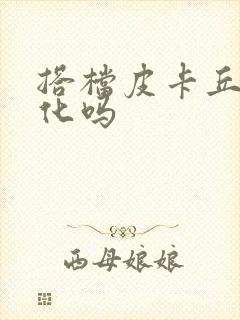 搭档皮卡丘能进化吗