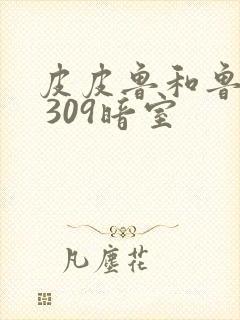 皮皮鲁和鲁西西 309暗室